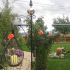 gradina mea draga