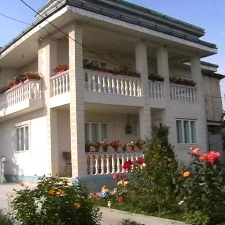 casa mea countenance