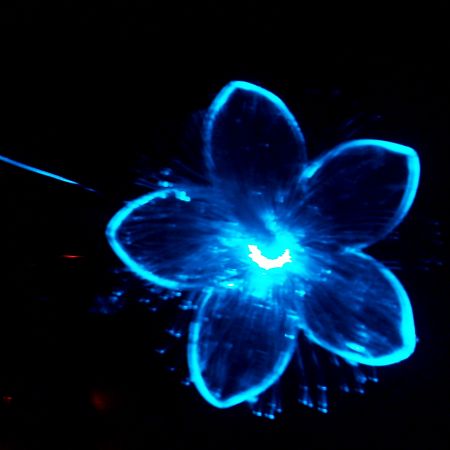 floare de lumina
