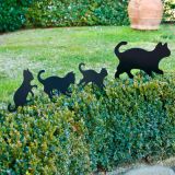O familie de pisici