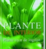 Plante de interior - Plante usor de ingrijit