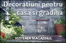 Magazin online decoratiuni pentru casa si gradina