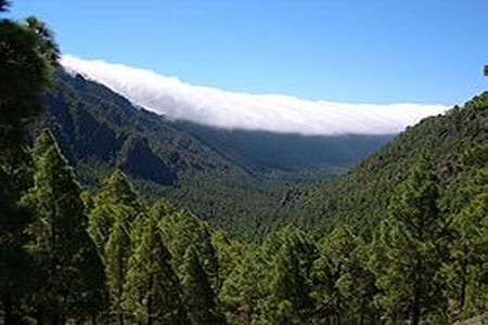 Parcul National Caldera de Taburiente, Insulele Canare