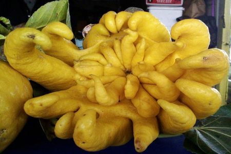 Buddha Hand Citron