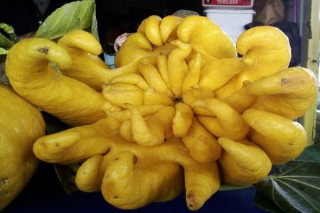 Buddha Hand Citron