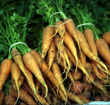 6 legume de plantat in luna Iunie