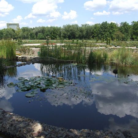 Gradina Botanica din Chisinau 