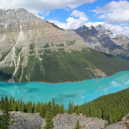 Lacul glaciar Peyto