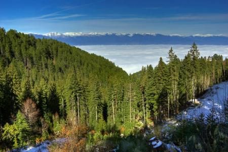 Parcul National Pirin, Bulgaria