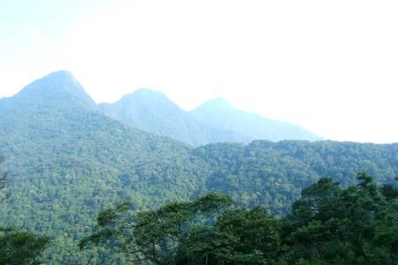 Parcul National Tam Dao, Vietnam