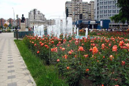 Parcul Trandafirilor, Bacau