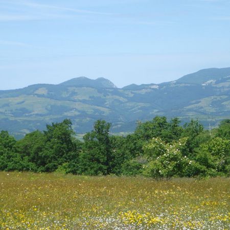 Geoparcul Platoul Mehedinti 