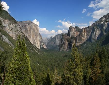 Parcul National Yosemite, California