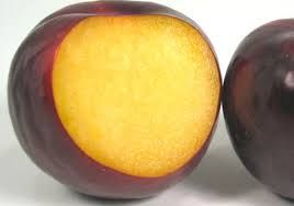 Prunele Angeleno, productie buna, fructe mari si dulci