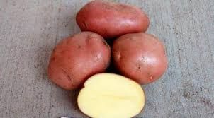 Cartoful Bellarosa