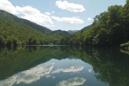 Parcul National Biogradska Gora, Muntenegru