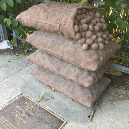 Un monument dedicat… cartofilor