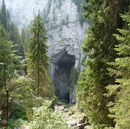 Rezervatia Naturala Cetatile Ponorului 