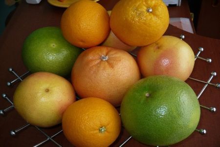 Cresterea citricelor in ghiveci