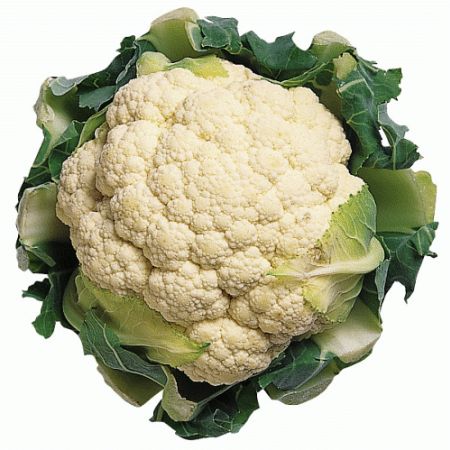 Salata de conopida