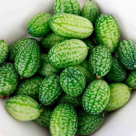 Cucamelon, castravetele miniaturial cu coaja de pepene 