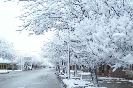 Tratamente fitoterapeutice pentru degeraturi