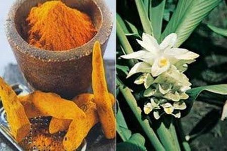 Detoxifierea ficatului cu ajutorul plantelor