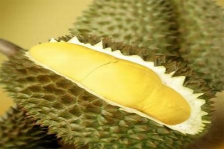 Fructe comestibile neobisnuite. Durian 