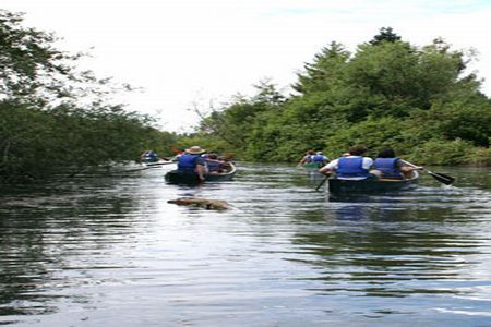 Fenomenul de ecoturism in Romania