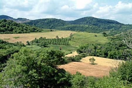 Parcul National Fruska Gora, Serbia 