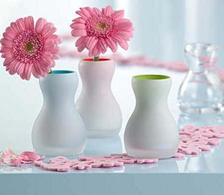 Gerbera -  pata de culoare din locuinta