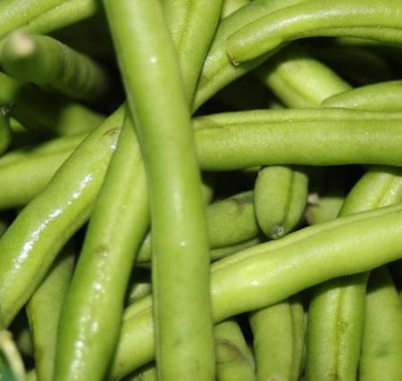 Salata de primavara cu branza de capra si fasole verde