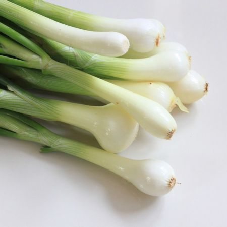 Supa de vara cu legume si verdeturi