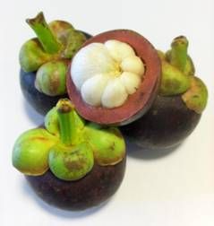 Garcinia Mangostana