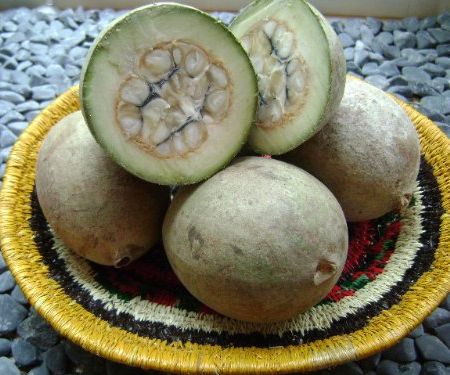 Jagua: fructul folosit pentru desert, medicamente si tatuaje 