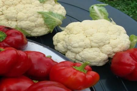Ingrijirea culturilor de legume. Prevenirea inghetului