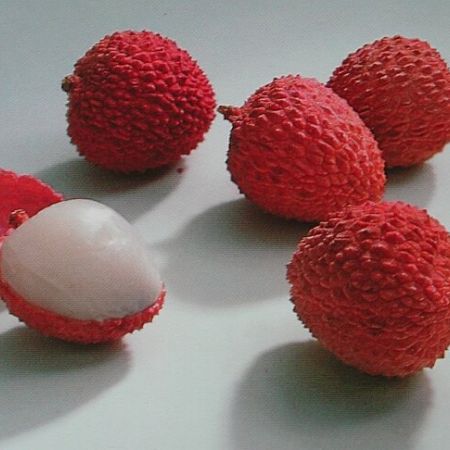 Proprietatile semintelor de Litchi