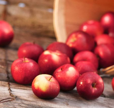 Tunderea de toamna la pomii fructiferi