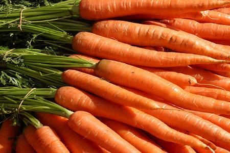 Factorii activi si beneficiile morcovului