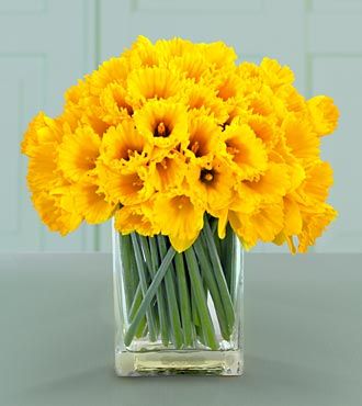 Un buchet de primavara