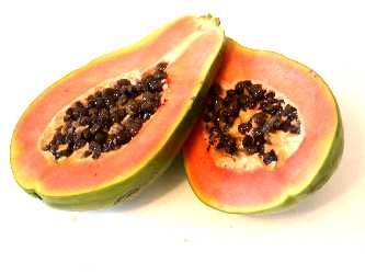 Papaya