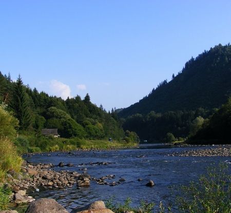 Parcul Natural Defileul Muresului Superior 