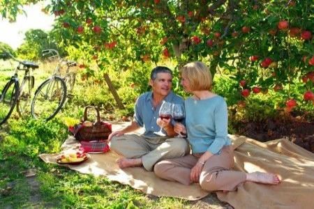 Picknick in gradina sau la iarba verde