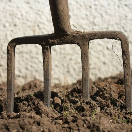 Ingrijirea solului - prima cerinta in cazul culturilor de toamna 