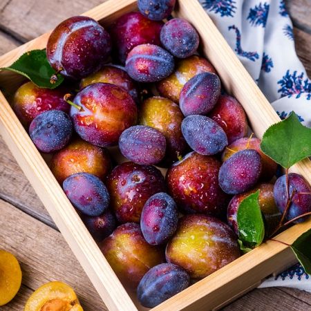 Aperitiv cu prune si branza de capra 