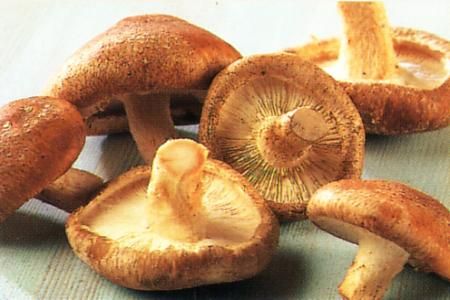 Ciupercile Shiitake - delicatese asiatice de toamna