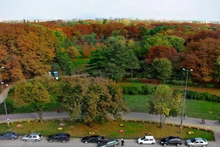 Spatiile verzi in mediul urban