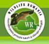 Wildlife Romania