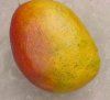 Cum obtineti un mango direct din samanta