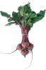 O leguma sanatoasa pentru tensiunea arteriala: sfecla rosie